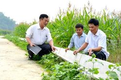 Thực hiện các giải pháp phòng, chống hạn thiếu nước