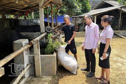 Đại Từ: Trên 13,6 nghìn khách hàng vay vốn chính sách