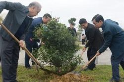 Phát động phong trào 'Ngày Chủ nhật xanh' 2024