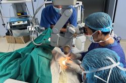Mang lại ánh sáng cho 2 người bệnh nhờ ghép giác mạc