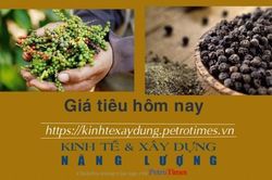 Giá tiêu hôm nay 29/1: Giữ ở mức cao