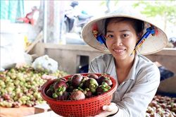 Tháng đầu năm, cận Tết, tổng mức bán lẻ hàng hóa, dịch vụ tiêu dùng tăng
