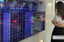 Lăng kính chứng khoán 29/1: Tuần giao dịch cận Tết diễn biến ra sao?