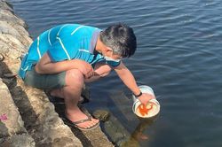 Thời tiết miền Bắc ngày Tết ông Công ông Táo sẽ ra sao?