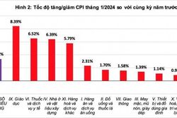 Chỉ số giá tiêu dùng tháng 1 tăng 0,31%