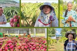 UNDP và Bộ Nông nghiệp thúc đẩy phát triển nông nghiệp xanh, bền vững