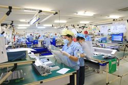 Tháng 1/2024: Doanh nghiệp thành lập mới tăng 24,8%