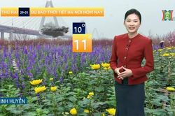 Dự báo thời tiết | 29/01/2024
