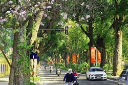 Tuần này nhiệt độ miền Bắc có thể tăng đến 28 độ, trời nắng ráo