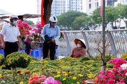 Thuyền hoa, cây cảnh cập bến Bình Đông phục vụ người dân TPHCM chơi Tết