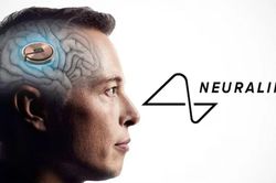Neuralink cấy ghép chip não thành công cho bệnh nhân đầu tiên