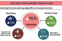 IIP tháng đầu năm giảm 4,4%, liệu sản xuất công nghiệp có thể lấy lại đà tăng trưởng?