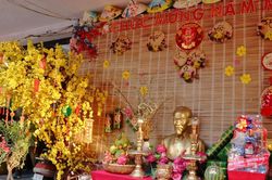 Không khí Tết 2024 tại các con hẻm, khu phố ở Thành phố Hồ Chí Minh