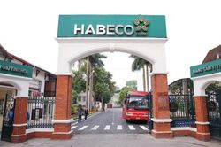 Lý do lợi nhuận Bia Hà Nội giảm