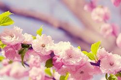 Tử vi 12 cung hoàng đạo 31/1: Xử Nữ may mắn, Sư Tử đề phòng tiểu nhân
