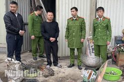 Ninh Bình: Thành lập đoàn liên ngành kiểm tra việc chấp hành các quy định của pháp luật