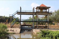 Các tỉnh, thành phố Đồng bằng sông Cửu Long chủ động ứng phó với xâm nhập mặn