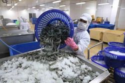 Xuất khẩu nông lâm thủy sản tháng 1/2024 tăng trên 79%