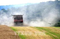 EU gia hạn thêm 1 năm miễn thuế nhập khẩu đối với nông sản Ukraine