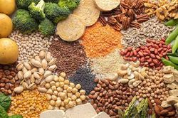 Phát hiện mới về tác dụng của đạm thực vật đối với quá trình lão hóa