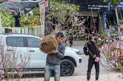 Chợ hoa ngày tết