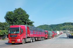 Giá trị xuất - nhập khẩu hàng hóa qua các cửa khẩu đạt gần 183 triệu USD trong tháng đầu năm