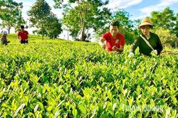 Agribank dành 2.000 tỷ đồng cho vay ưu đãi phát triển sản phẩm OCOP