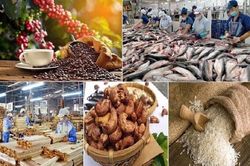 Tháng 1/2024, xuất khẩu nông lâm thủy sản tăng gần 80%