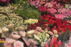 Thị trường hoa Tết trầm lắng, người bán thấp thỏm lo ngại