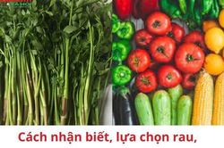 Cách chọn mua rau, củ, quả an toàn