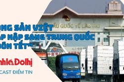 Nông sản Việt tấp nập sang Trung Quốc 'đón Tết'