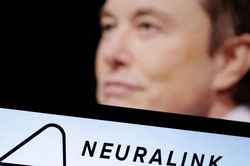 Công ty của Elon Musk cấy chíp vào não người