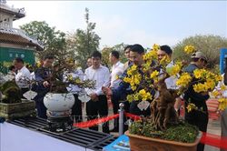 Xây dựng Huế trở thành xứ sở Hoàng mai Việt Nam