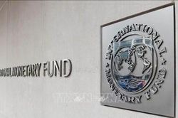 IMF nâng triển vọng tăng trưởng kinh tế toàn cầu năm 2024