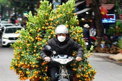 Dự báo thời tiết cả nước từ nay đến mùng 3 Tết Nguyên đán