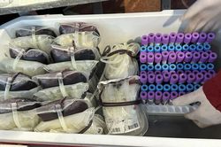 Viện Huyết học vẫn thiếu khoảng 10.000 đơn vị máu dự trữ dịp Tết Nguyên đán