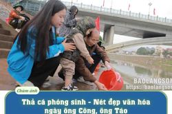 Thả cá phóng sinh – Nét đẹp văn hóa ngày ông Công, ông TáoTin khác