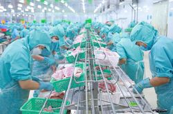 Đa quốc gia IDI: Lãi ròng năm 2023 giảm 87%, kỳ vọng giá cá tra hồi phục trong năm nay
