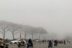 Miền Bắc mưa nhỏ, trời rét dịp Tết Nguyên đán