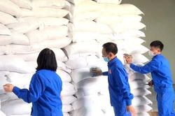 Chính phủ xuất cấp thêm hơn 1.444 tấn gạo cho 5 tỉnh dịp Tết Nguyên đán