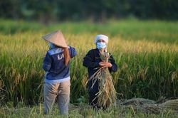 Hợp tác xã chuyển mình tích cực