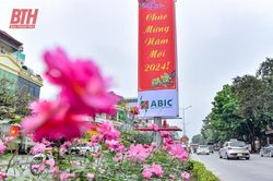 TP Thanh Hóa rực rỡ cờ hoa mừng Đảng, mừng Xuân