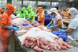 Nhờ cá tra, Việt Nam là nước xuất khẩu cá thịt trắng lớn thứ 2 tại Mỹ