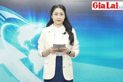 Gia Lai 24h: Nặng lòng chuyến xe nghĩa tình