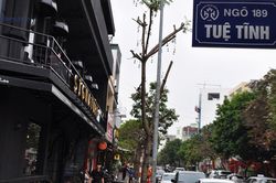 Thành phố Hải Dương đề xuất thí điểm tuyến phố ẩm thực Tuệ Tĩnh