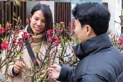 Dự báo cường độ không khí lạnh tràn về nước ta dịp Tết Nguyên đán