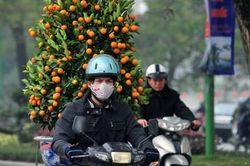 Miền Bắc đón liên tiếp 2 đợt không khí lạnh trước Tết Nguyên đán