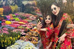 Chủ Nhật cuối cùng của năm 2023: Người Hà Nội rộn ràng xuống phố, chở Tết về nhà