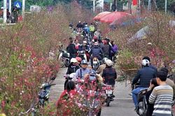 Tết Nguyên đán, miền Bắc trời rét diện rộng kéo dài