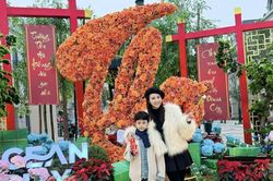 Lệ Quyên, Huyền Lizzie, Phương Oanh... nô nức chuẩn bị Tết